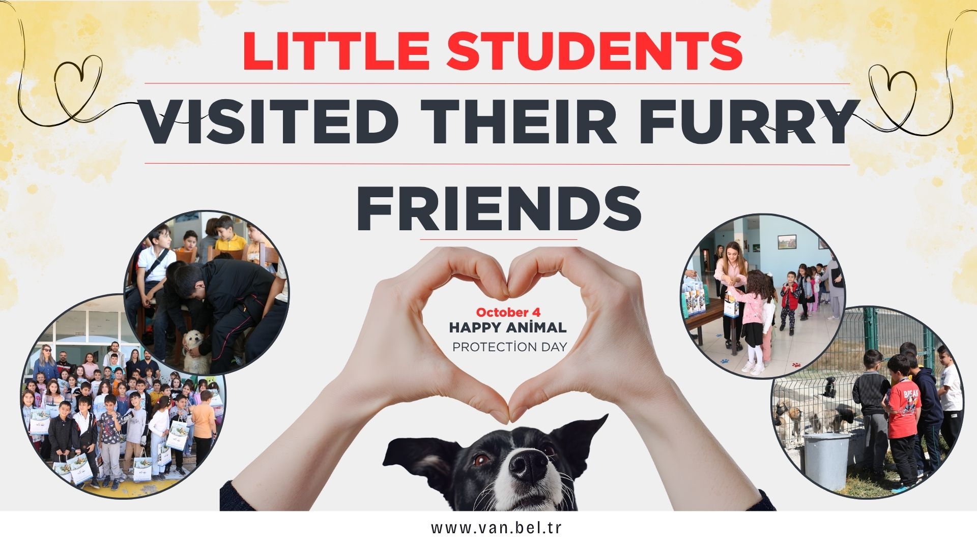 LITTLE STUDENTS VISITED THEIR FURRY FRIENDS